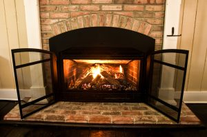 Gas Fireplace Insert on brick hearth